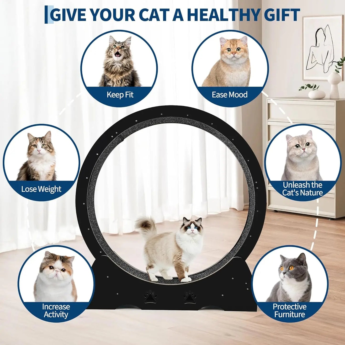 Large Wooden Cat Running Treadmill with Low Noise Carpeted Runway, Removable Carpet