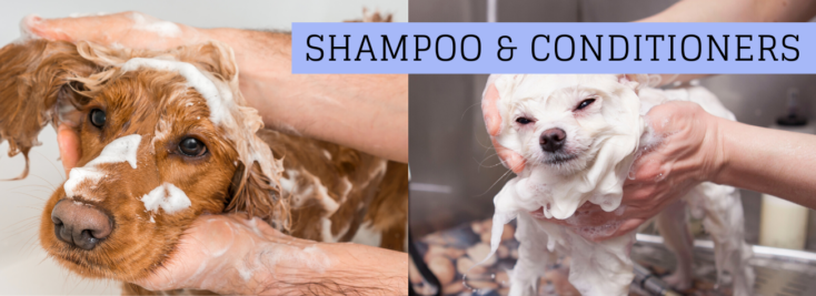 Shampoo & Conditioners/Wipes/Etc