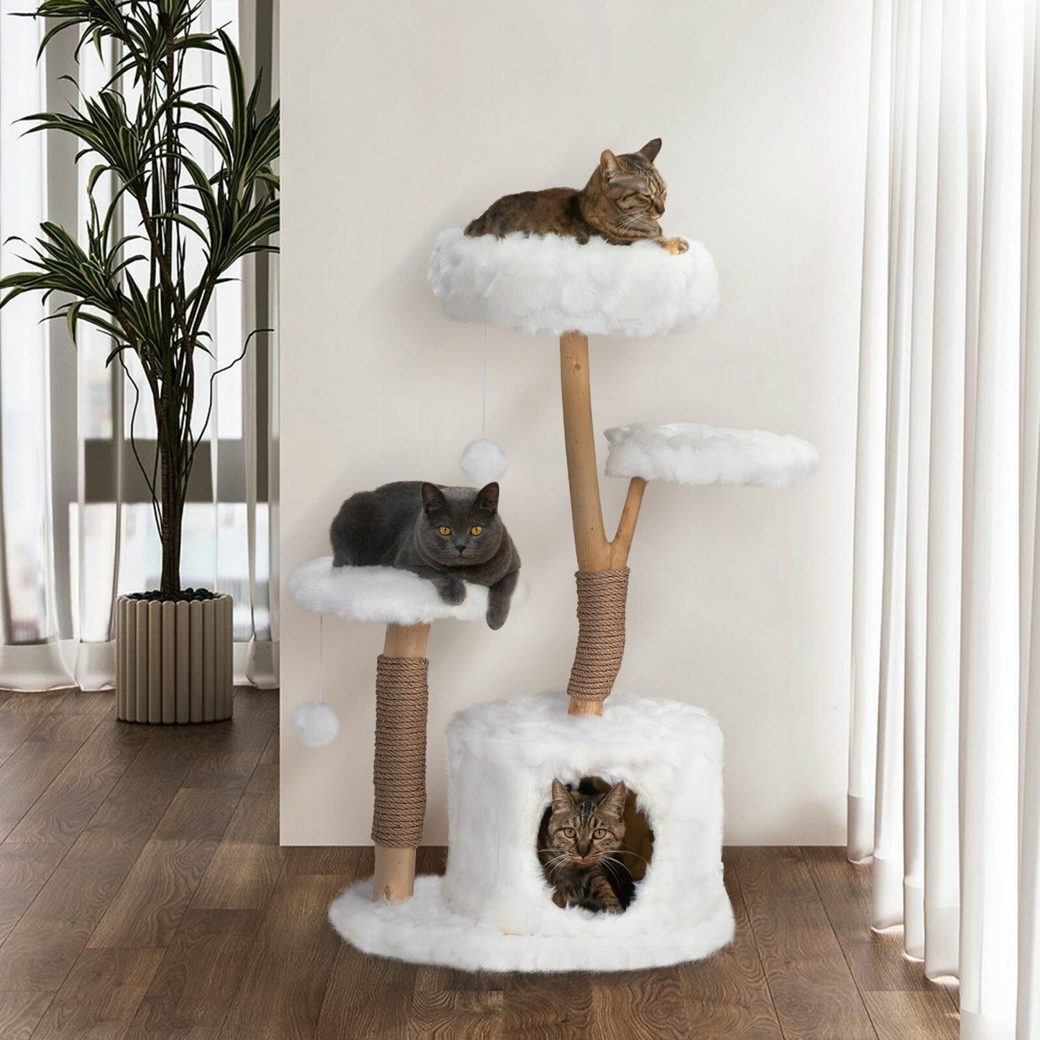 Cat Towers & Houses