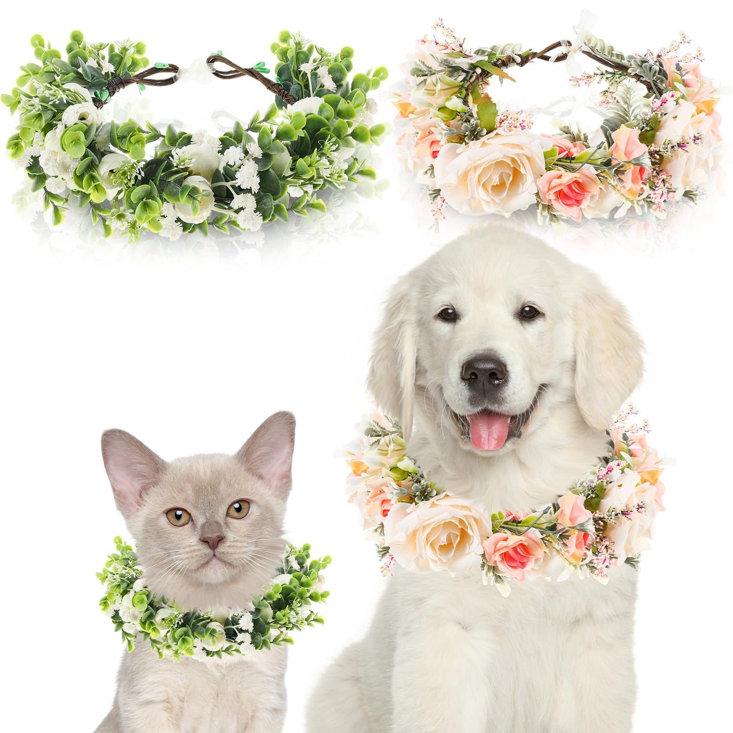 Collars