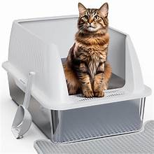 Litter Boxes/Pee Pads