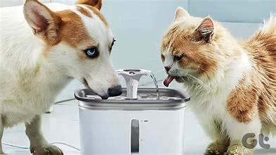 Water Dispenser