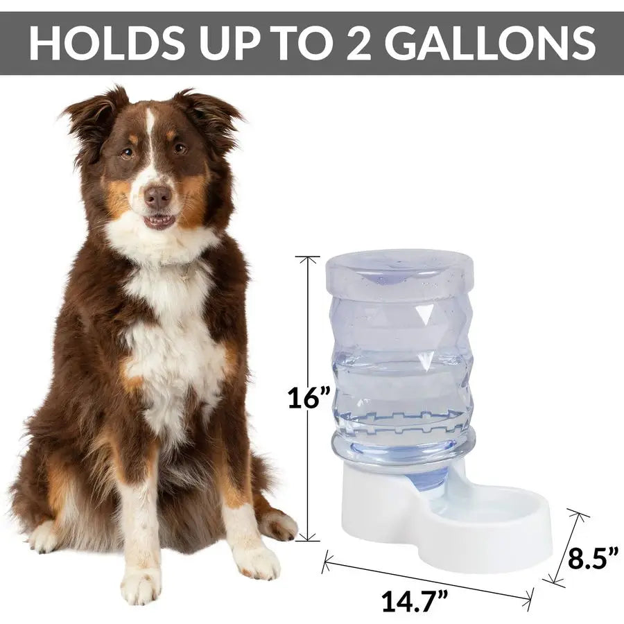 2.5 Gallon H2O Durable Gravity Automatic Pet Water Dispenser