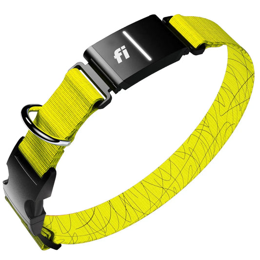 New  Series 3+ Smart Dog Tracker Collar [12 Month Membership Included] GPS Tracker for Dogs with Health & Behavior