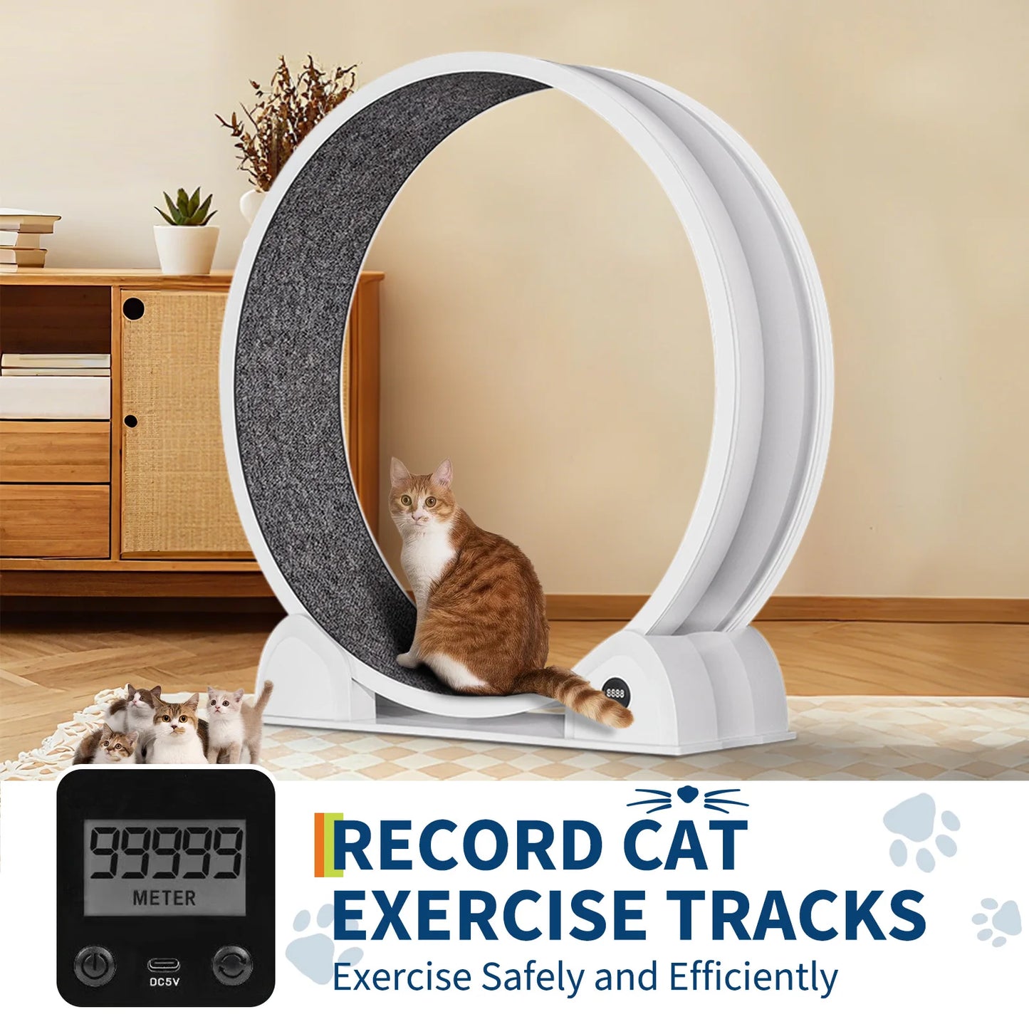 Quiet 45-inch Cat Exercise Wheel with Pedometer, Removable Mat, Pet Fitness Training Toy for Indoor, Promote Health/Weight Loss
