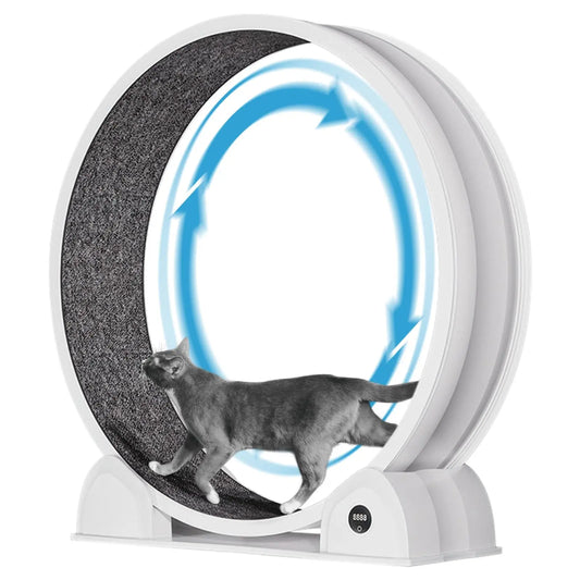 Quiet 45-inch Cat Exercise Wheel with Pedometer, Removable Mat, Pet Fitness Training Toy for Indoor, Promote Health/Weight Loss