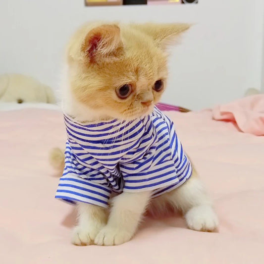 Cute Stripe Pet Cat Vest Shirt Summer Cotton Cat Clothing Clothes for Cats Outfit for Pets Animals