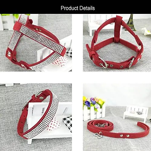 Trendy Newtensina Dog Collar Set – Fashion Harness & Leash for Dogs, Red XS