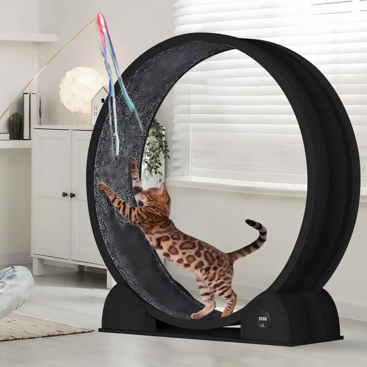 Quiet 45-inch Cat Exercise Wheel with Pedometer, Removable Mat, Pet Fitness Training Toy for Indoor, Promote Health/Weight Loss
