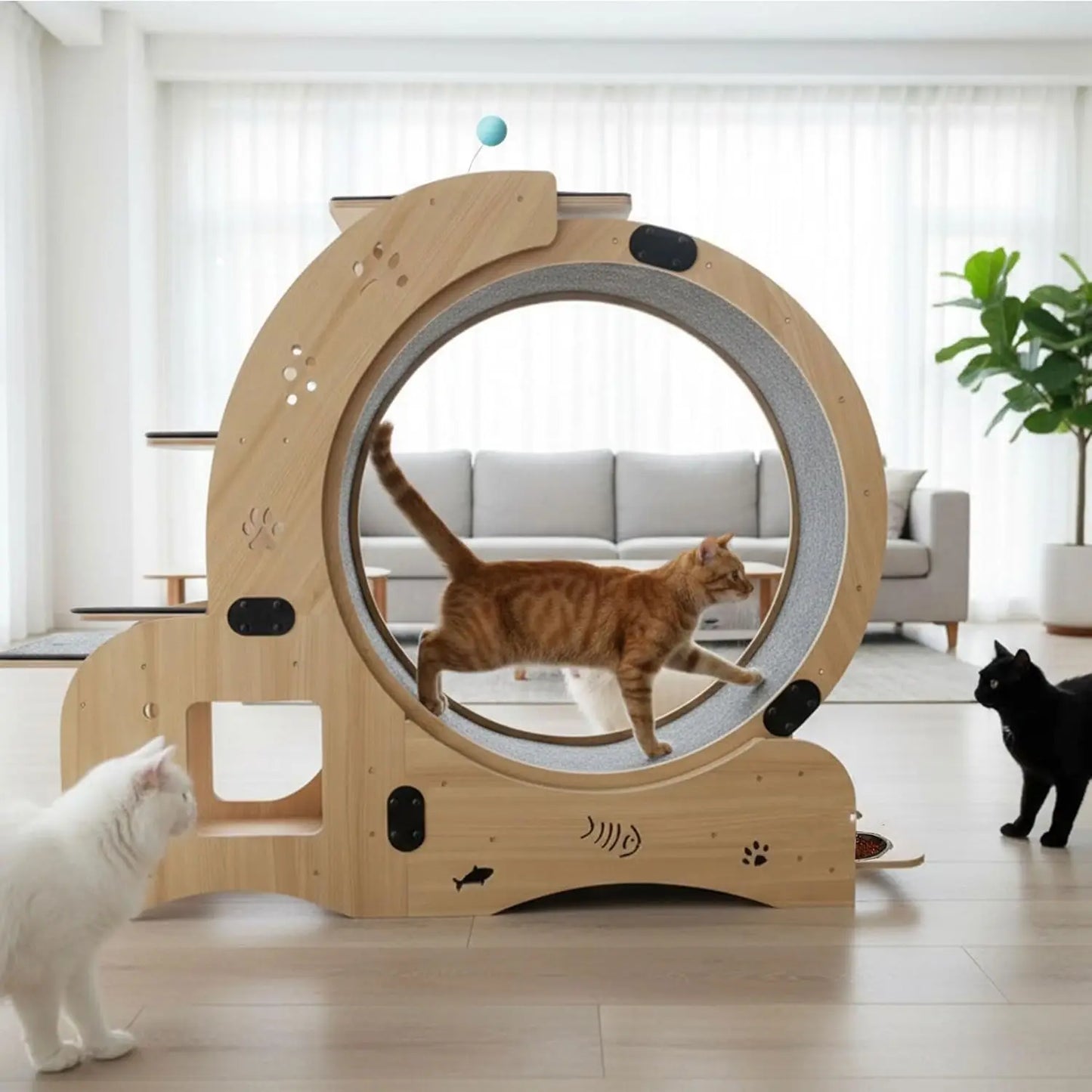 55" Cat Wheel with Cat Bed, Scratching Board, Detachable Mat, Climbing Frame, & Nest