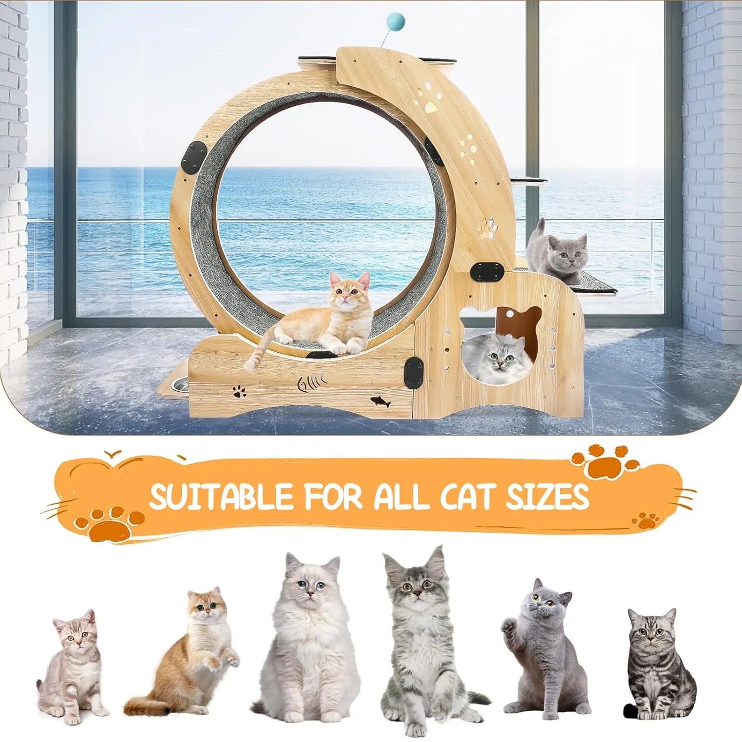 55" Cat Wheel with Cat Bed, Scratching Board, Detachable Mat, Climbing Frame, & Nest