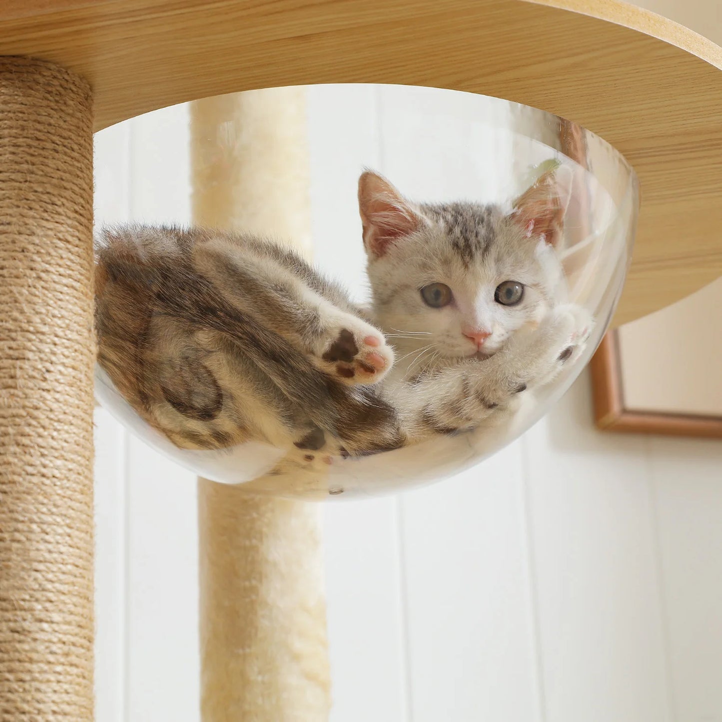 Multi-Level Wood Cat Tree with Scratching Posts, Spacious Condo, Hammock, Top Perch, Cat Scratcher