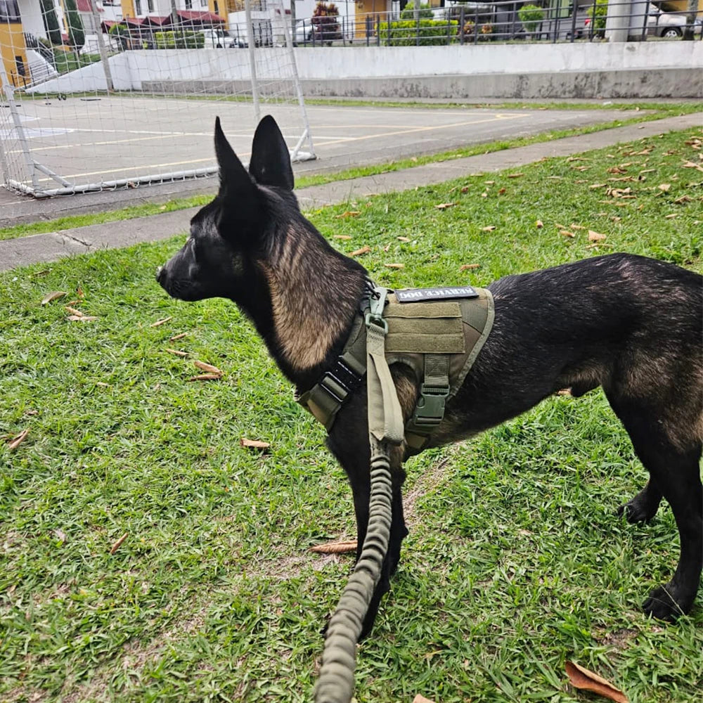 Tactical Dog Harness Leash Set for Dogs