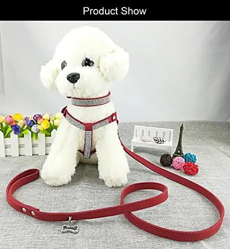 Trendy Newtensina Dog Collar Set – Fashion Harness & Leash for Dogs, Red XS