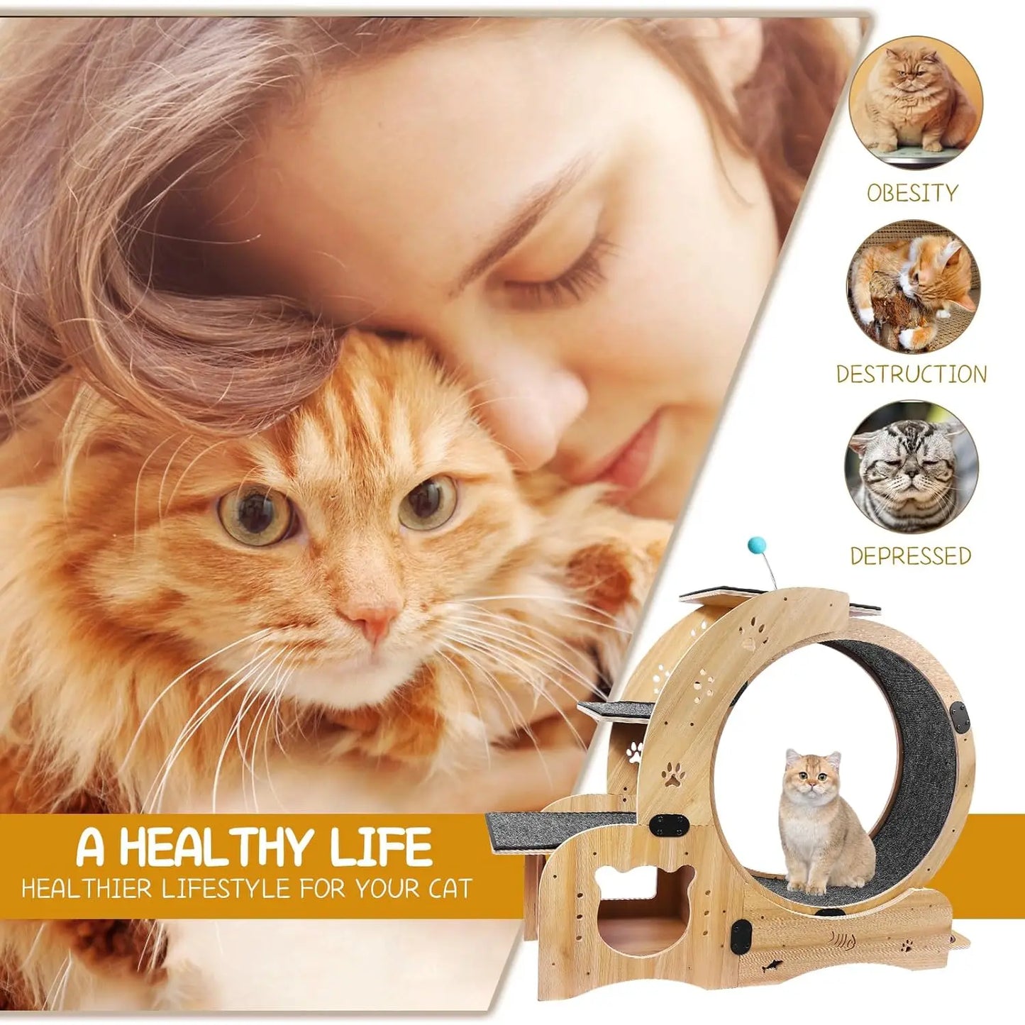 55" Cat Wheel with Cat Bed, Scratching Board, Detachable Mat, Climbing Frame, & Nest
