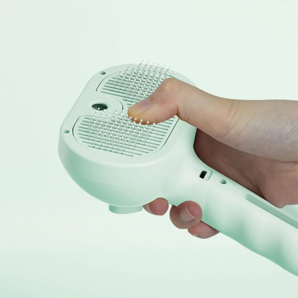 3 in 1 Rechargeable Pet Steam Brush with Release Button