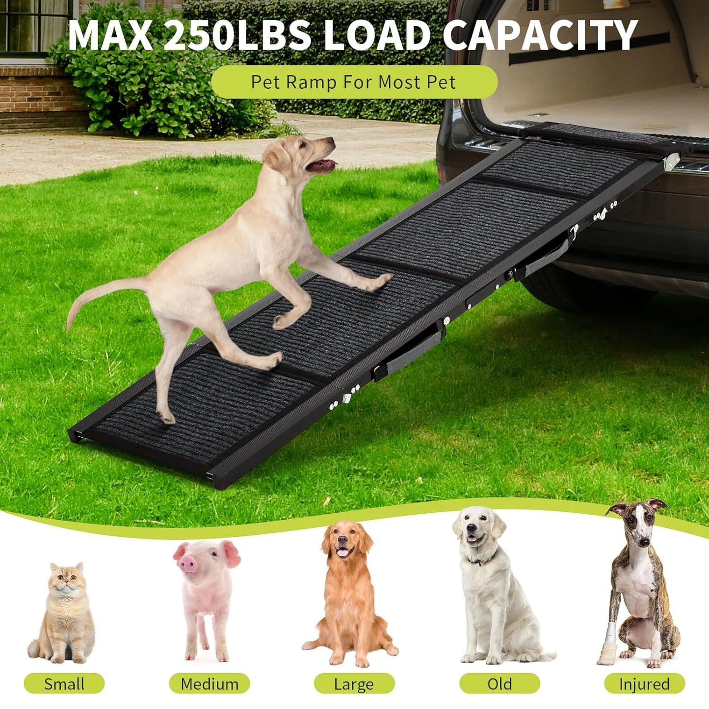 Non-Slip Surface Portable Outdoor Dog Car Ramp Up to 250 LBS