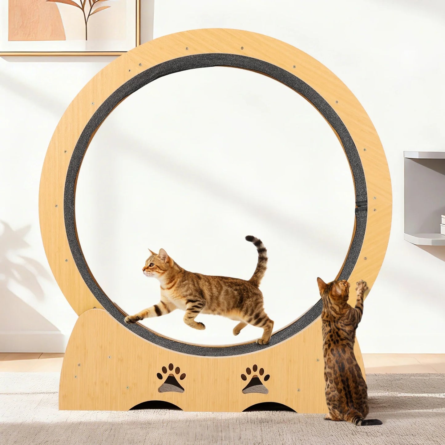 Large Wooden Cat Running Treadmill with Low Noise Carpeted Runway, Removable Carpet