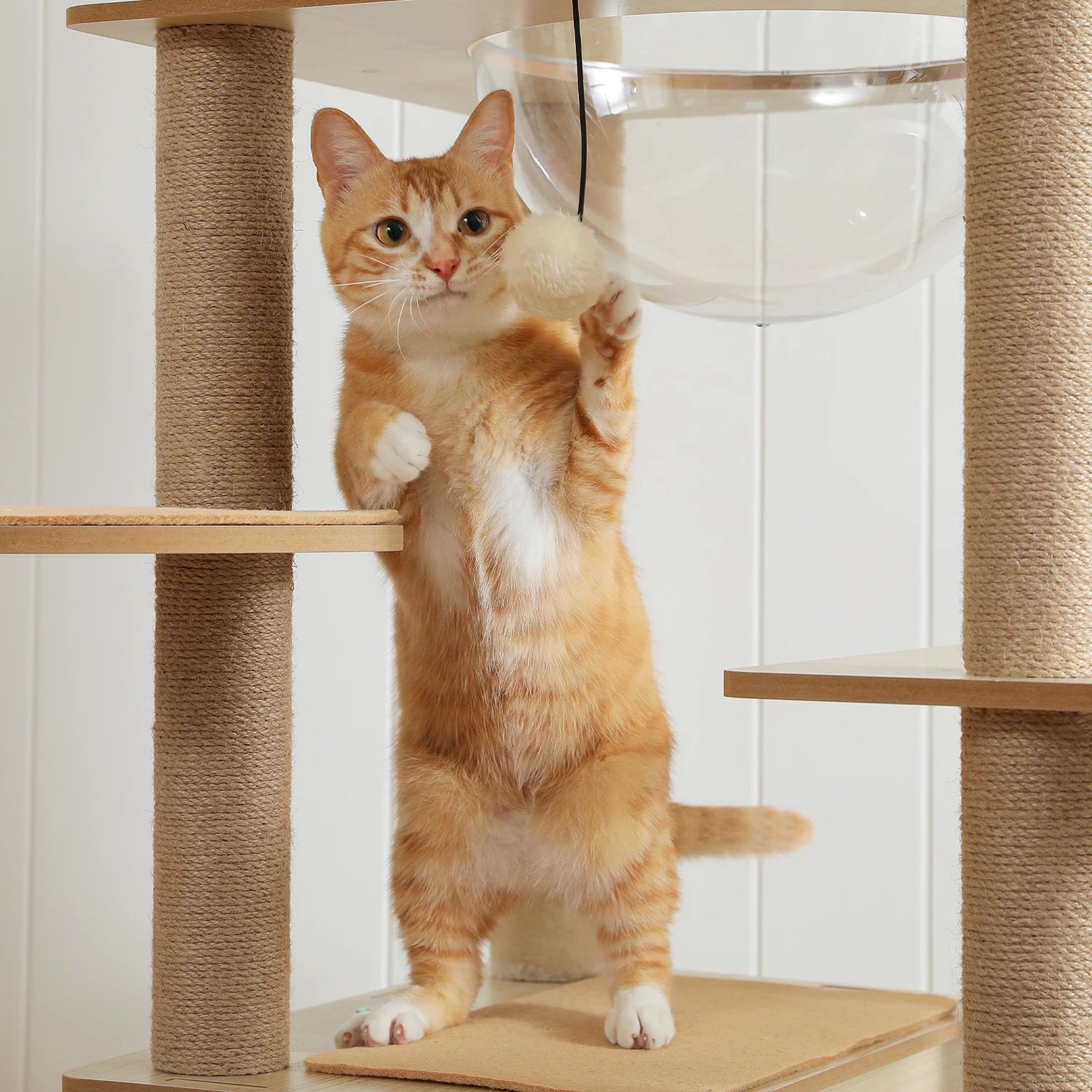Multi-Level Wood Cat Tree with Scratching Posts, Spacious Condo, Hammock, Top Perch, Cat Scratcher