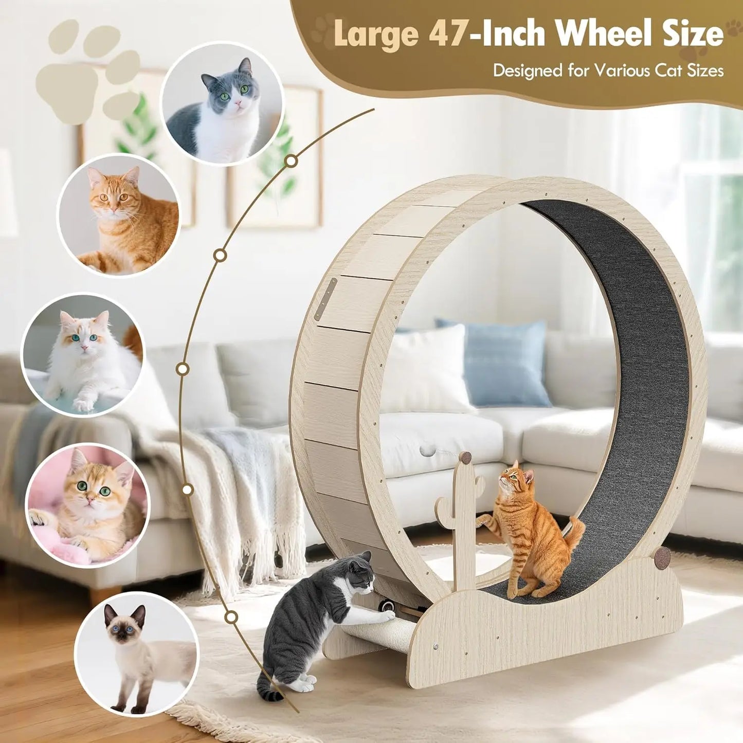 47 Inch Cat Exercise Wheel, Large Treadmill for Indoor Cats with Detachable Carpet