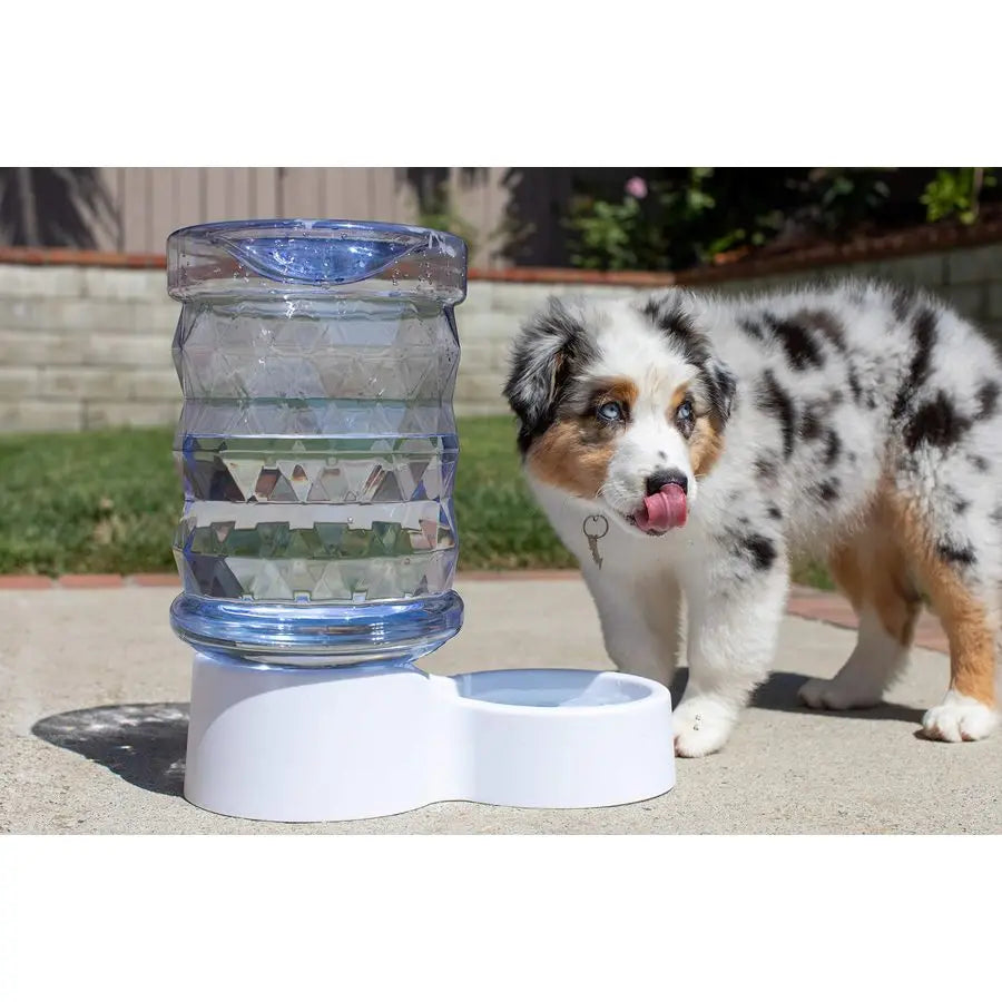 2.5 Gallon H2O Durable Gravity Automatic Pet Water Dispenser