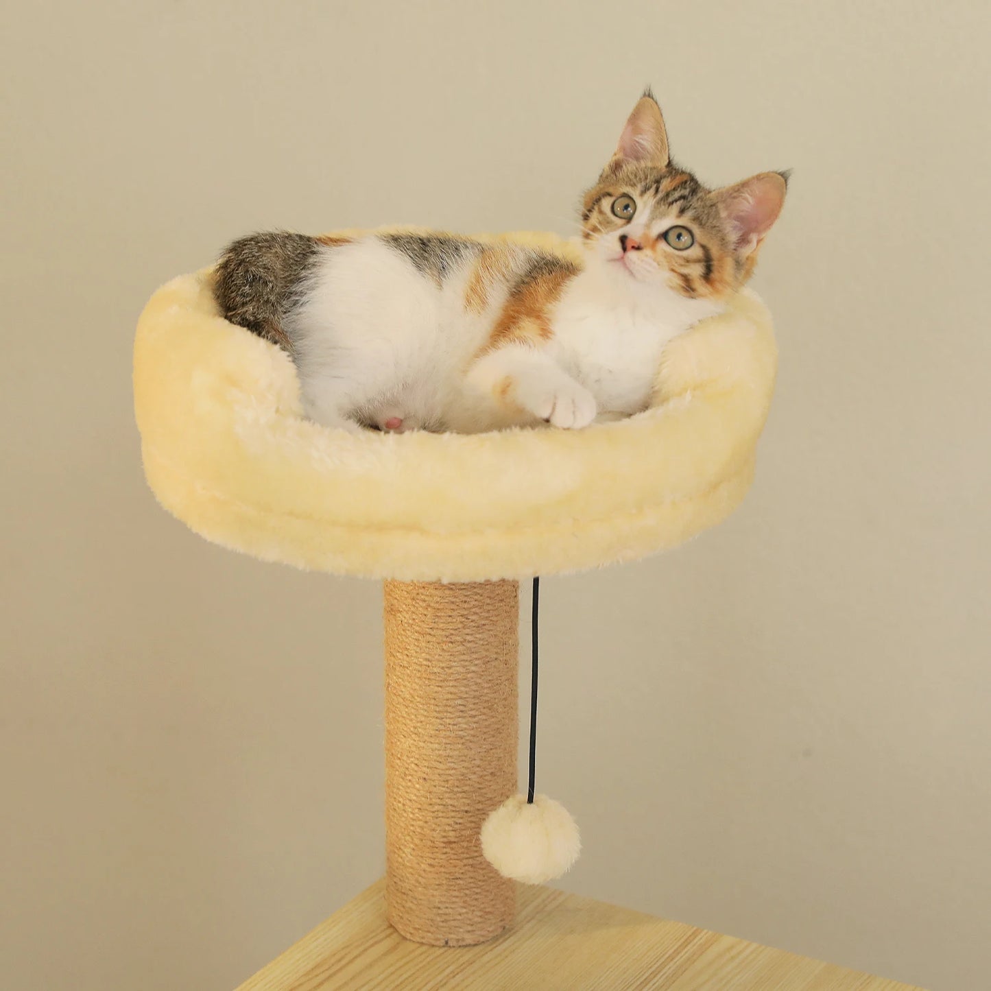 Multi-Level Wood Cat Tree with Scratching Posts, Spacious Condo, Hammock, Top Perch, Cat Scratcher