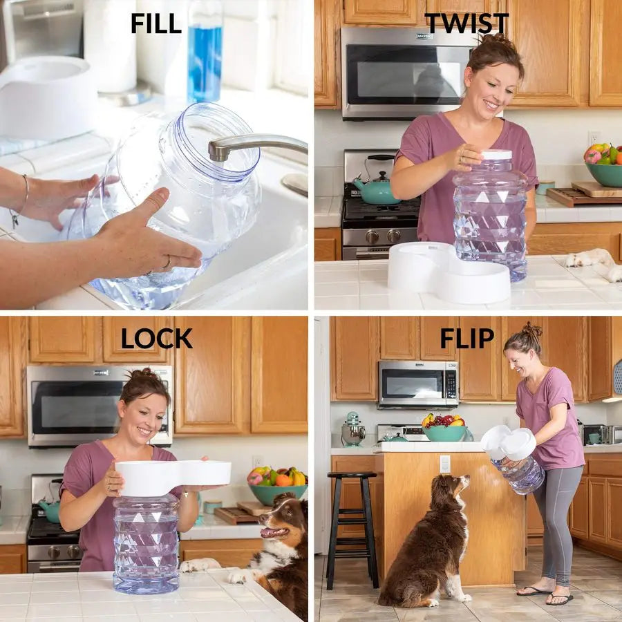 2.5 Gallon H2O Durable Gravity Automatic Pet Water Dispenser