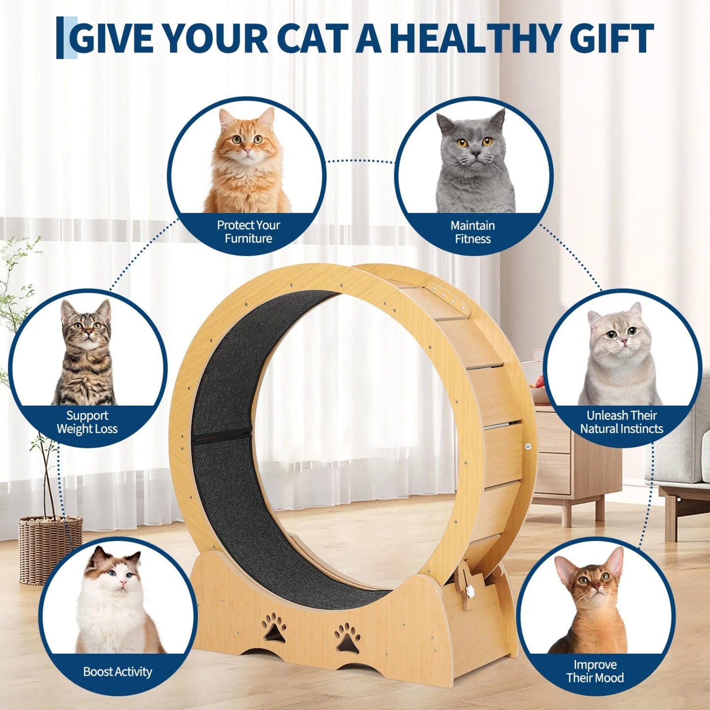 Large Wooden Cat Running Treadmill with Low Noise Carpeted Runway, Removable Carpet