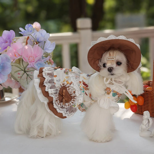 Pet Lace Dress Pet Maid Dress Cute Dog Hat Set Pet Coat Small Coat Puppy Clothes Dog Clothes for Small Dogs Autumn and Winter