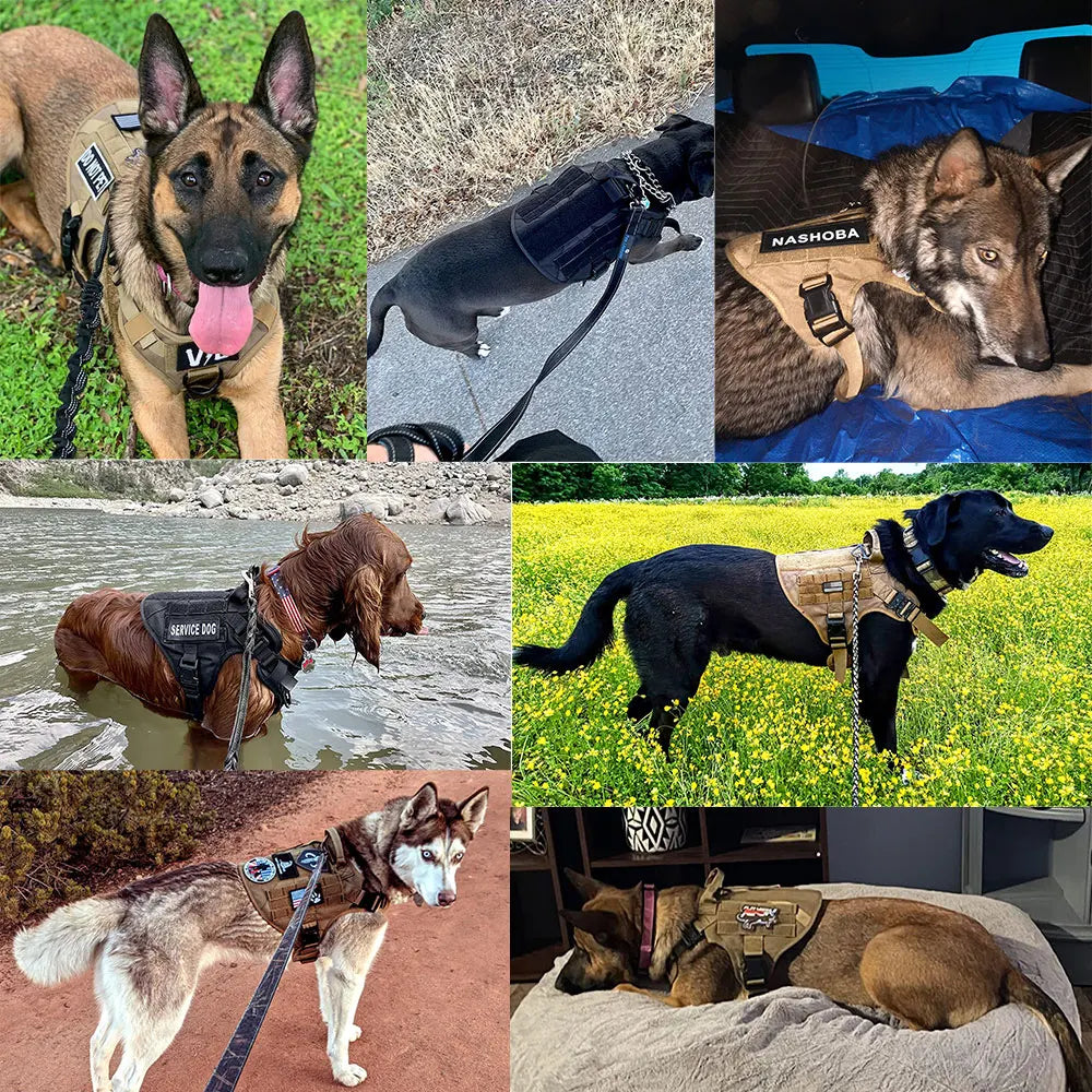 Tactical Dog Harness Leash Set for Dogs
