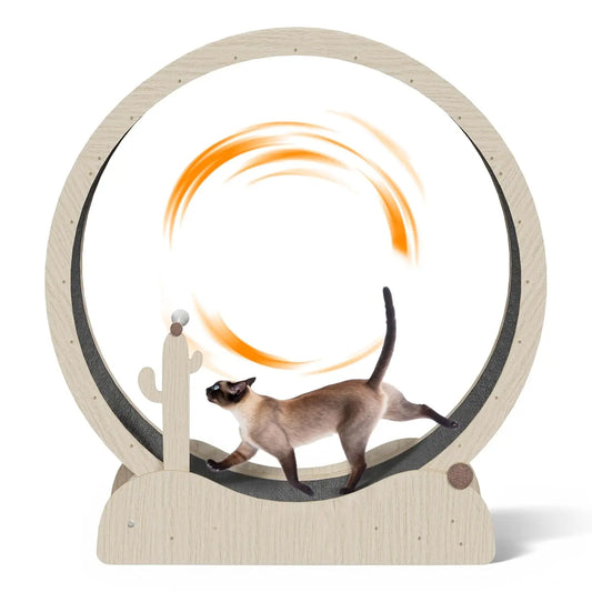 47 Inch Cat Exercise Wheel, Large Treadmill for Indoor Cats with Detachable Carpet