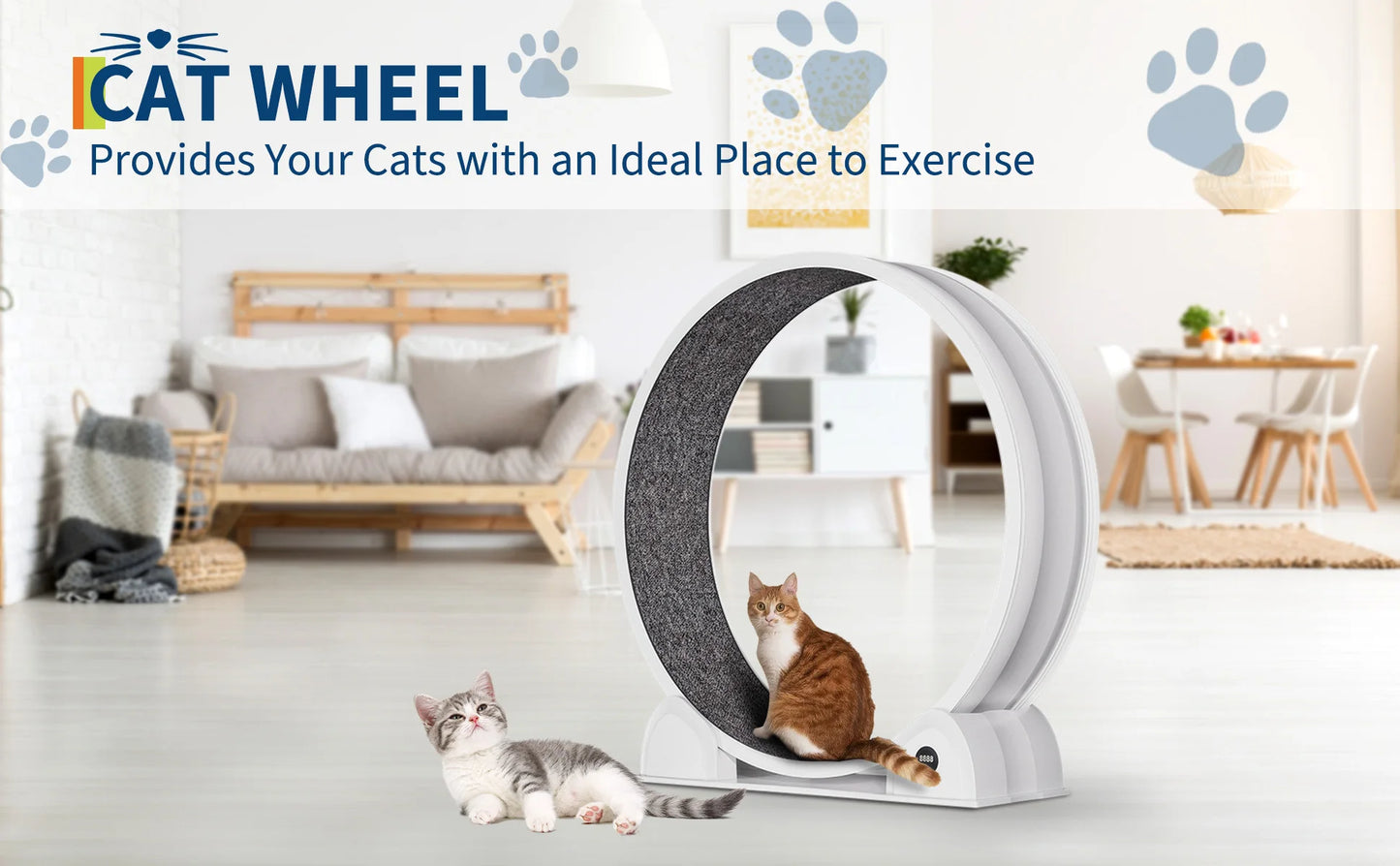 Quiet 45-inch Cat Exercise Wheel with Pedometer, Removable Mat, Pet Fitness Training Toy for Indoor, Promote Health/Weight Loss